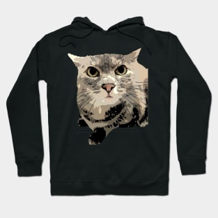 Mad Cat Hoodie